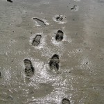 quicksand
