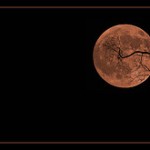 cracklymoon1797667874_0a714115a9_m cracklymoon1797667874_0a714115a9_m