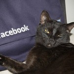 facebookcat104526583_37ccdb50e3_m