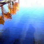 reflection.8395783_8dda8afb97_m reflection.8395783_8dda8afb97_m