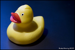 Is your boss a quack